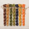 Set of OwlForest Hand-Dyed Threads for the “Pumpkin Shelf” (DMC) 