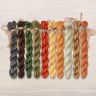 Set of OwlForest Hand-Dyed Threads for the “Pumpkin Houses” Chart (Thread Trade n.a. Kirov)