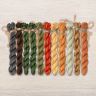 Set of OwlForest Hand-Dyed Threads for the “Pumpkin Houses” Chart (Thread Trade n.a. Kirov)