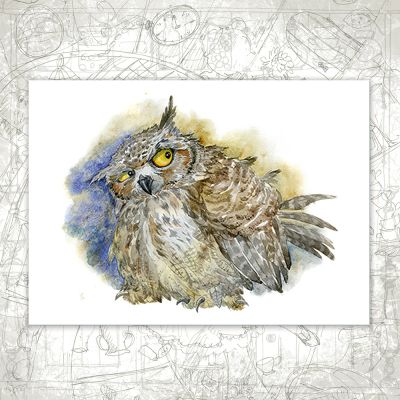 “Bubo Bubo” Postcard