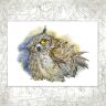 “Bubo Bubo” Postcard