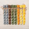 Set of OwlForest Hand-Dyed Threads for the “Amber Bird Night Songs” Chart (DMC)