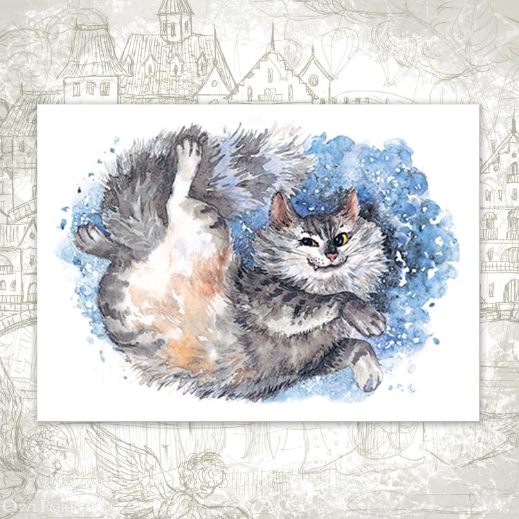 “Cattus” Postcard