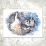 “Cattus” Postcard