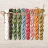 Set of OwlForest Hand-Dyed Threads for the “Color of the Summer” Chart (Thread Trade n.a. Kirov)
