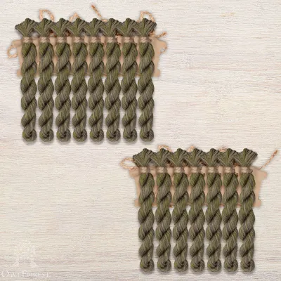 Set of OwlForest Hand-Dyed Threads for the “Sampler with Acorns” (DMC) one-color Option