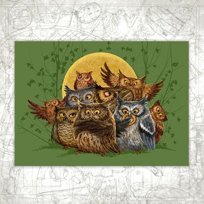 “Owl Parliament” Postcard