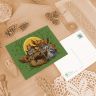 “Owl Parliament” Postcard