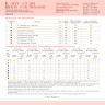 Printed embroidery chart “Ready for Summer”