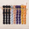 Set of OwlForest Hand-Dyed Threads for the “Pumpkin Porridge” Chart (DMC)