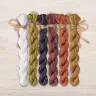 Set of OwlForest Hand-Dyed Threads for the “Autumn Skittering” Chart (DMC)