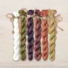 Set of OwlForest Hand-Dyed Threads for the “Autumn Skittering” Chart (Thread Trade n.a. Kirov)