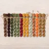 Set of OwlForest Hand-Dyed Threads for the “Golden Autumn” Chart (DMC)