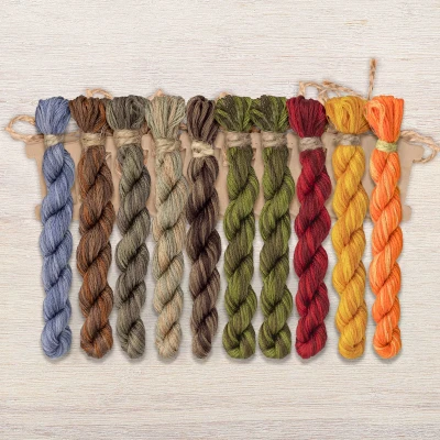 Set of OwlForest Hand-Dyed Threads for the “Founding Day” (DMC) 