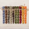 Set of OwlForest Hand-Dyed Threads for the “Founding Day” (DMC) 
