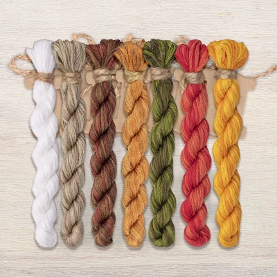 Set of OwlForest Hand-Dyed Threads for the “Wisdom Day” (DMC) 