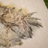 “Bubo Bubo” Linen Shopping Bag 