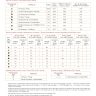 Printed embroidery chart “Little Girl and the Swan-Geese”
