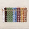 Set of OwlForest Hand-Dyed Threads for the “Park Ensemble” Chart (DMC)