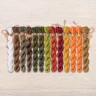 Set of OwlForest Hand-Dyed Threads for the “Golden Pumpkin Festival” (DMC) 