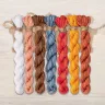 Set of OwlForest Hand-Dyed Threads for the “Proverbs. Birds of Feather” Chart (DMC)
