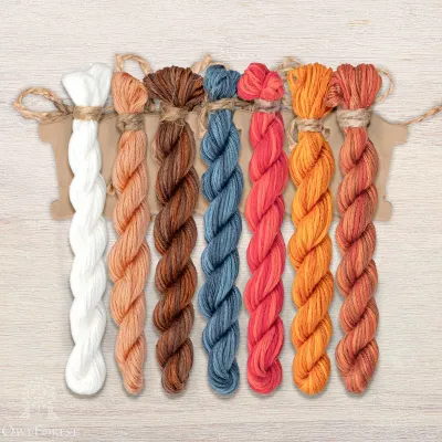 Set of OwlForest Hand-Dyed Threads for “Proverbs. Birds of Feather” Chart (Thread Trade n.a. Kirov)