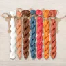 Set of OwlForest Hand-Dyed Threads for “Proverbs. Birds of Feather” Chart (Thread Trade n.a. Kirov)