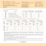 Digital embroidery chart “At the End of Summer”