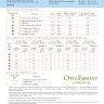 Printed embroidery chart “Cornflower Summer”