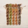 Set of OwlForest Hand-Dyed Threads for the “At the End of Summer” Chart (DMC)