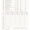 Digital embroidery chart “Dining Negotiant” or “Russian Lunchtime”