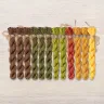 Set of OwlForest Hand-Dyed Threads for the “Underwater World” Chart (DMC)