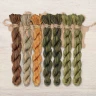 Set of OwlForest Hand-Dyed Threads for the “Oak Panel” (DMC) 