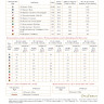 Digital embroidery chart “Yaga's Cat”