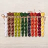 Set of OwlForest Hand-Dyed Threads for the “Ashberry Summer” Chart (DMC)