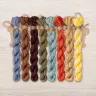 Set of OwlForest Hand-Dyed Threads for the “The Beaver Portrait” Chart (DMC)