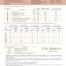 Printed embroidery chart “Red Fortress”