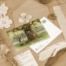 “Oak on the River Bank” Postcard