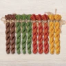 Set of OwlForest Hand-Dyed Threads for the “Where a Fairy Tale Begins” (DMC) 