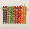 Set of OwlForest Hand-Dyed Threads for the “Where a Fairy Tale Begins” (Thread Trade n.a. Kirov) 