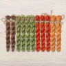 Set of OwlForest Hand-Dyed Threads for the “Where a Fairy Tale Begins” (Thread Trade n.a. Kirov) 