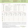 Free embroidery digital chart “Chizhik-Pyzhik”