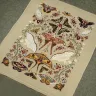 Embroidery kit “Moth Waltz”