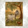 “Crocheting Raccoons” Postcard