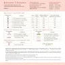 Printed embroidery chart “Camellia”