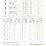 Digital embroidery chart “Moth Waltz”