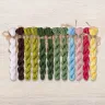 Set of OwlForest Hand-Dyed Threads for the “Frog Ballet” Chart (DMC)