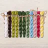 Set of OwlForest Hand-Dyed Threads for the “Frog Ballet” Chart (DMC)