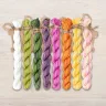 Set of OwlForest Hand-Dyed Threads for the “Orchids” Chart (Thread Trade n.a. Kirov)