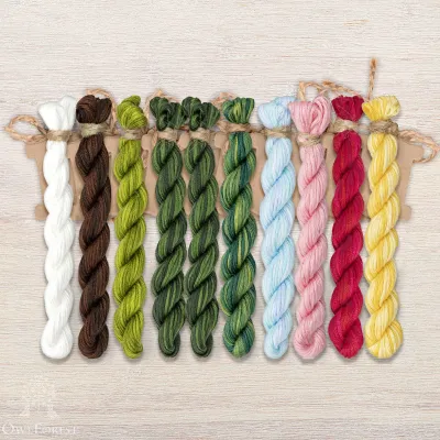 Set of OwlForest Hand-Dyed Threads for the “Frog Ballet” Chart (Thread Trade n.a. Kirov)